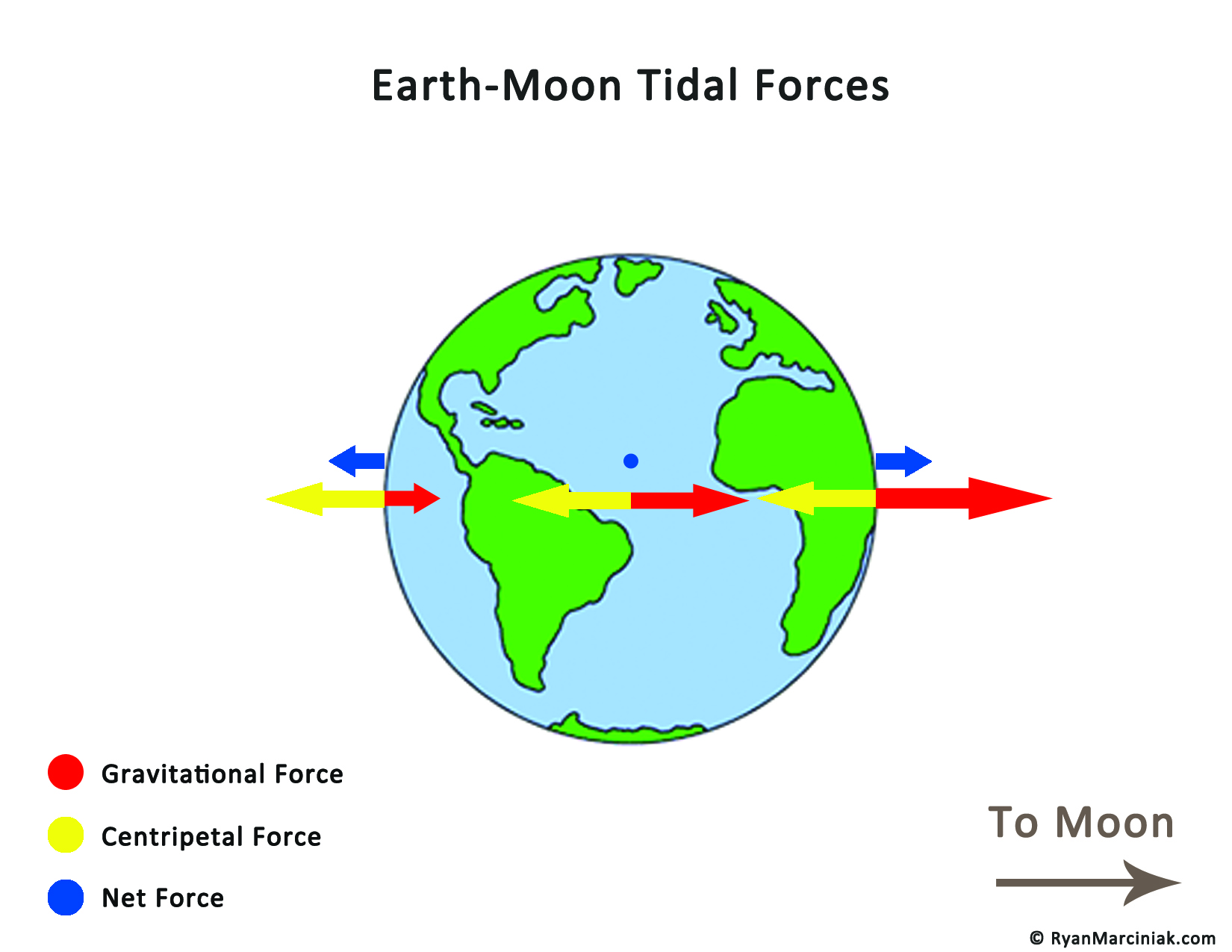 Tidal Force Earth Moon