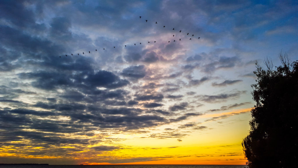 A morning rainbow and migrating birds