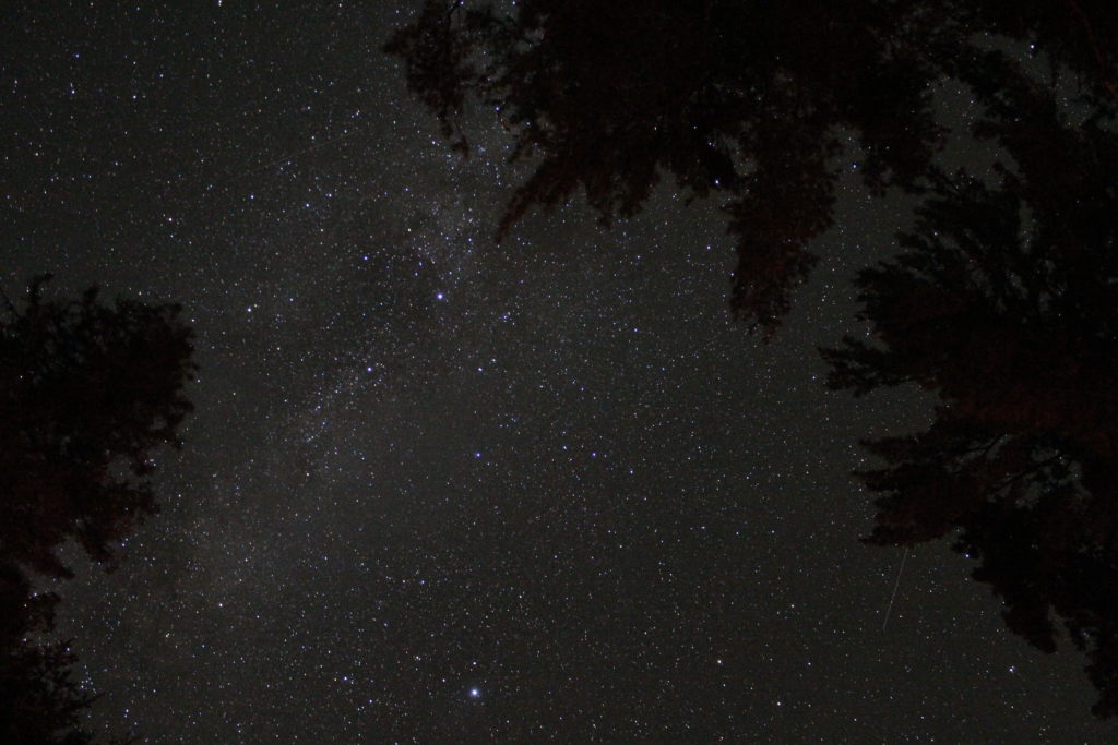 Lyra along the Milky Way - 25 sec exposure at ISO 6400